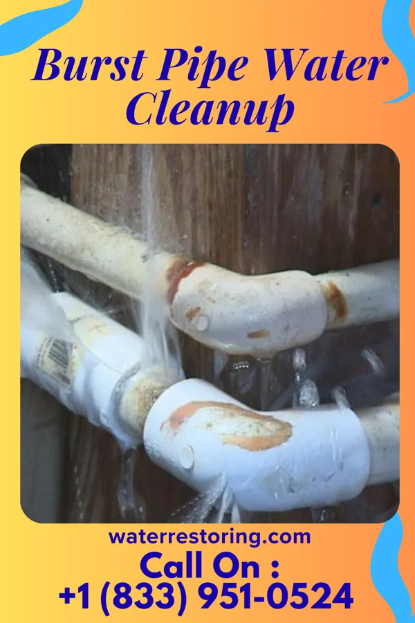 Burst Pipe Water Cleanup in Tuscarawas, OH