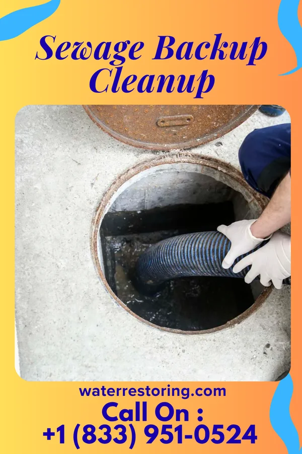 Sewage Backup Cleanup in Tuscarawas, OH